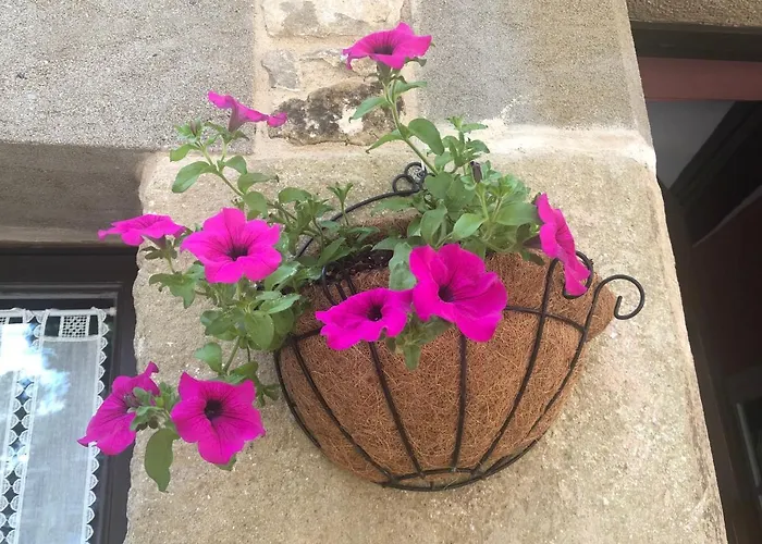 Escloper לינה וארוחת בוקר
